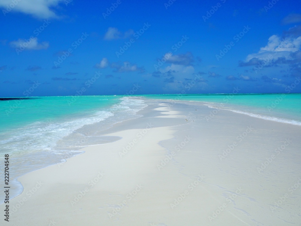 Obraz premium the beach in Maldives