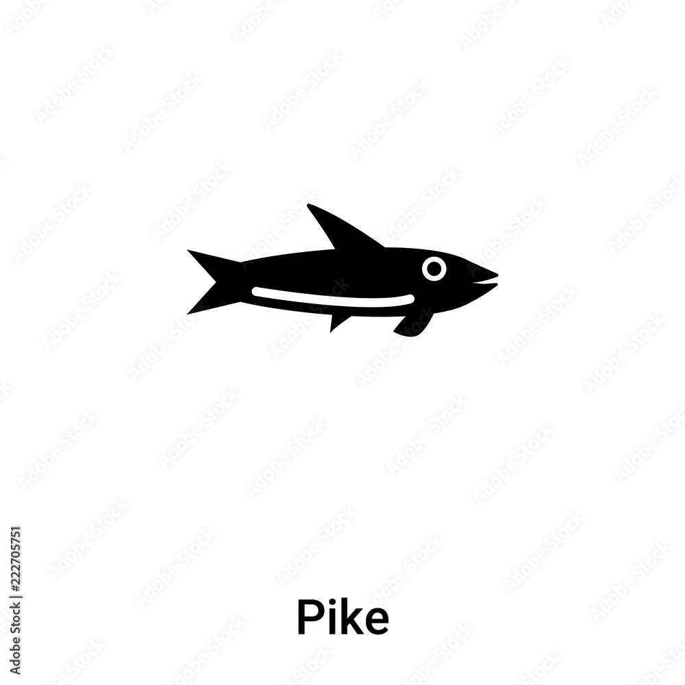 Fototapeta premium Pike icon vector isolated on white background, logo concept of Pike sign on transparent background, black filled symbol