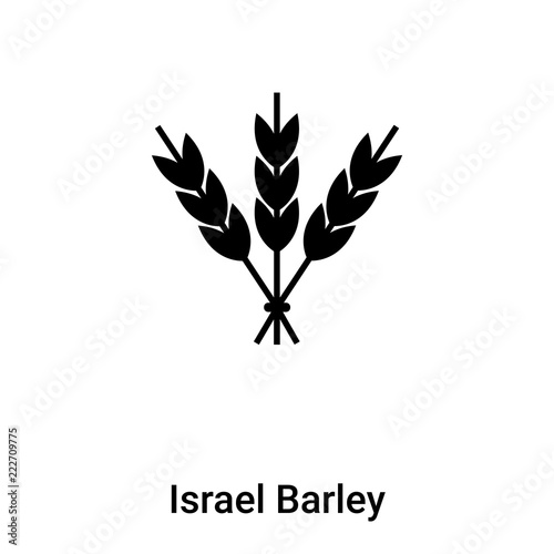 Israel Barley icon vector isolated on white background, logo concept of Israel Barley sign on transparent background, black filled symbol