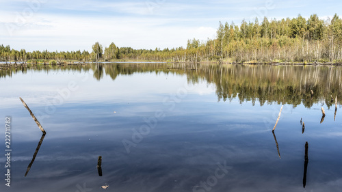 Foto a blue small lake is located in the forest, gulf with growing trees and driftwoo