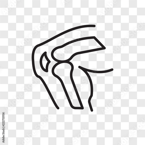 knee icons isolated on transparent background. Modern and editable knee icon. Simple icon vector illustration.