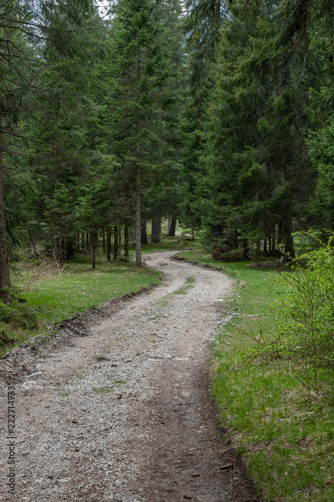 Fototapeta premium Dolomites Italy, nature and landscape