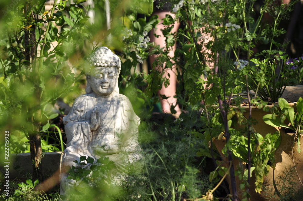 Fototapeta premium Buddha in the Garden