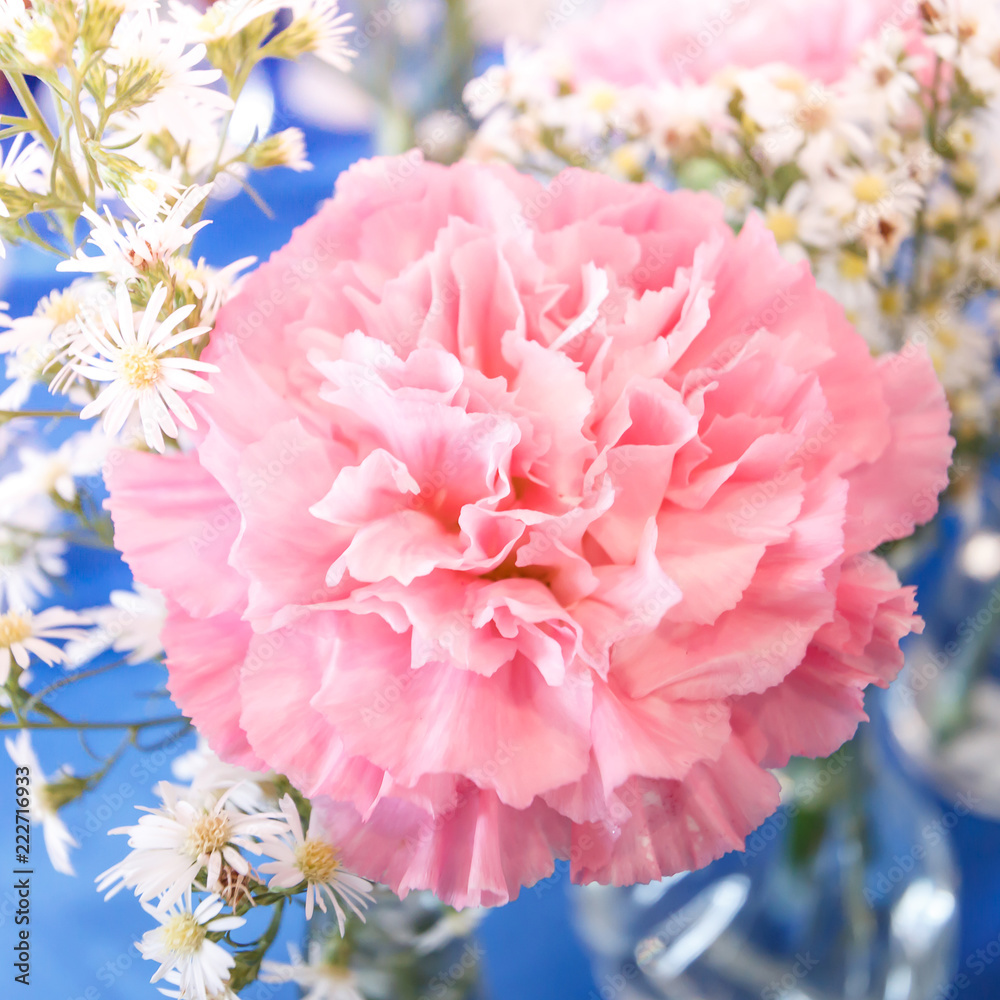 Sweet pink peony flower blooming in soft and blur, love and romantic concept background.