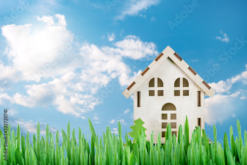 Wallpaper Mural Model of a wooden house on green grass and a blue sky with clouds. Concept of ecological house. Torontodigital.ca