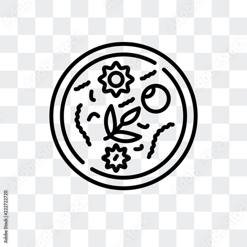 congee icon isolated on transparent background. Modern and editable congee icon. Simple icons vector illustration.
