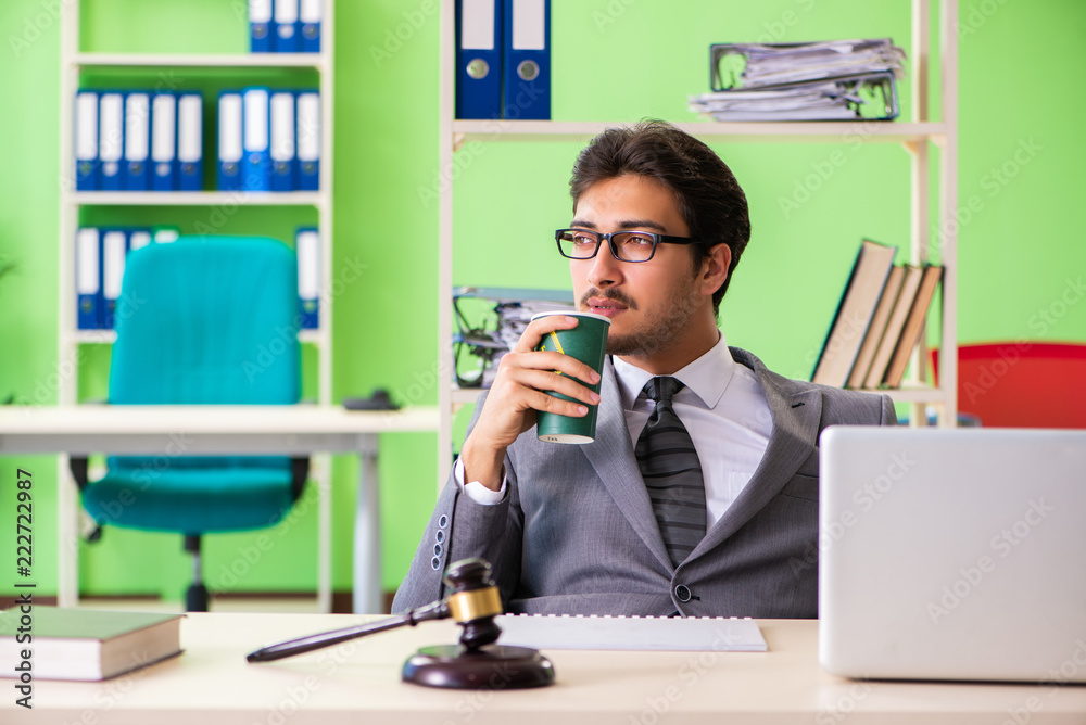 Young handsome lawyer working in the office Young handsome lawyer working in the office