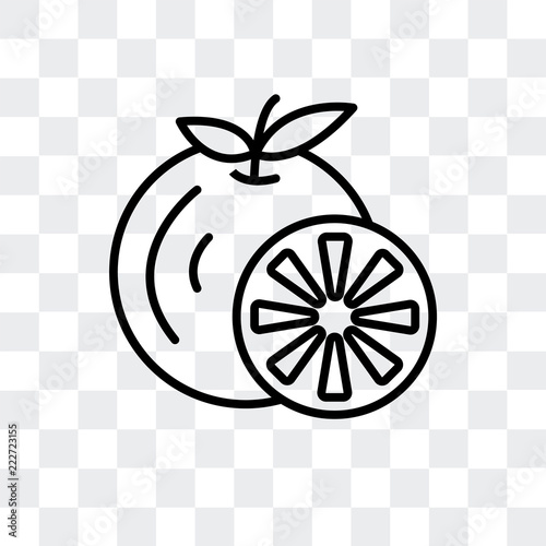 tangerine icon isolated on transparent background. Modern and editable tangerine icon. Simple icons vector illustration.