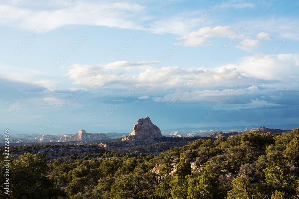 Fototapeta premium Utah Landscape 1