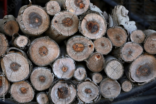 Close-Up of Firewood stack, Logs in a pile, logs stacked