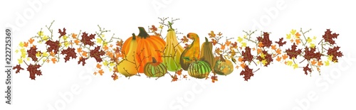Thanksgiving Fall panorama wide border holiday gourds harvest design