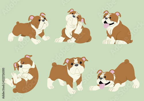 bulldog cartoon set
