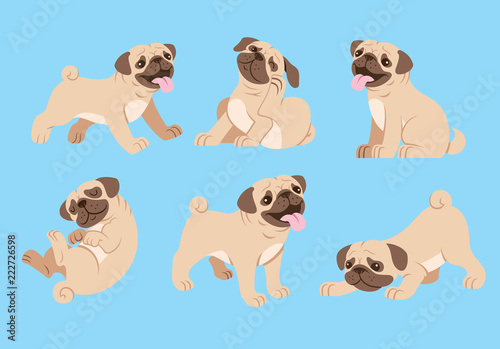 pug dog cartoon set