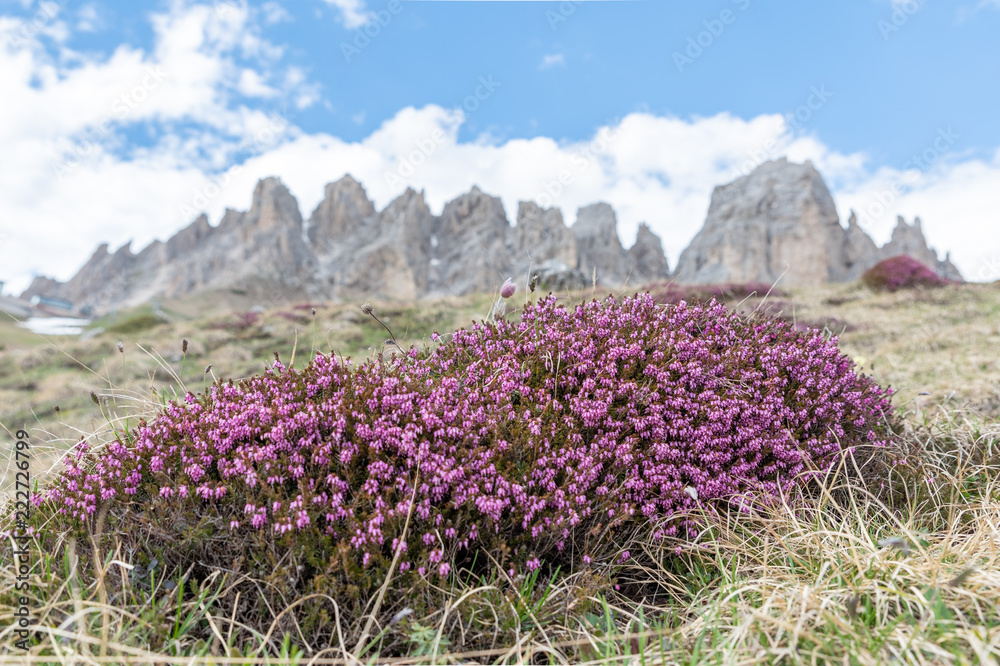 Dolomites, Italy photography in summer