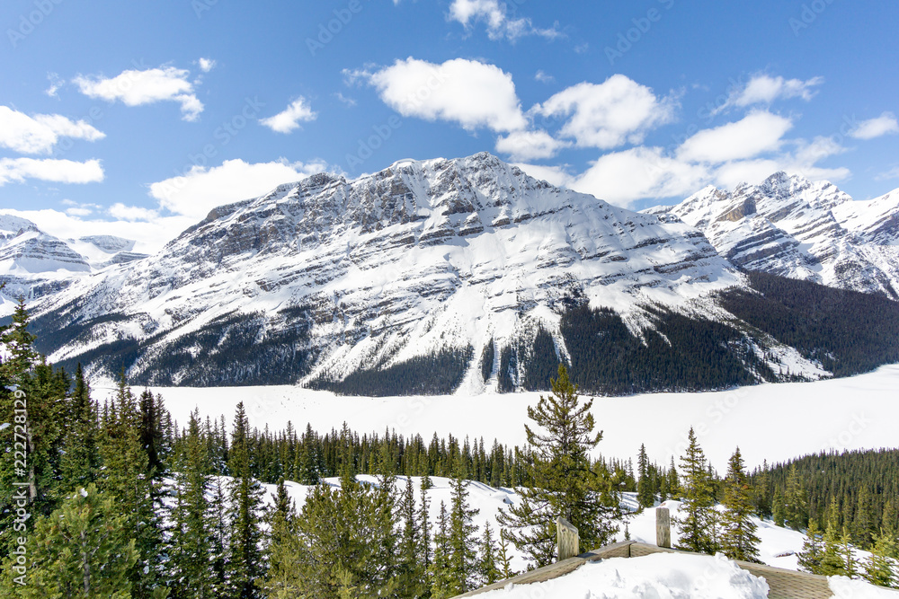 Mountain Overlook