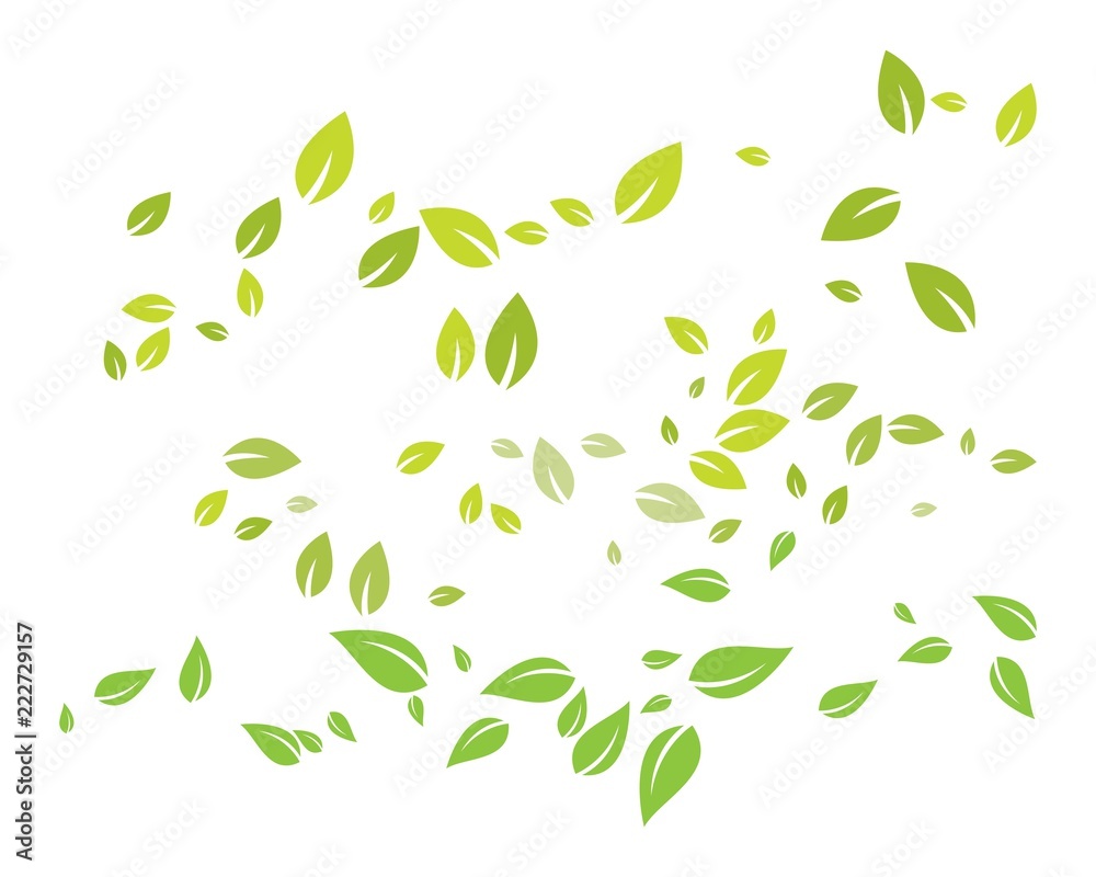 green leaf ecology nature element green leaf ecology nature element