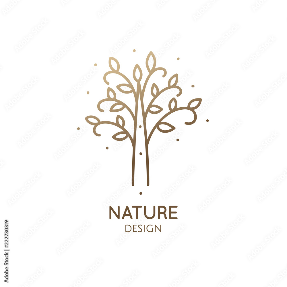 Obraz premium Tropical jungle tree