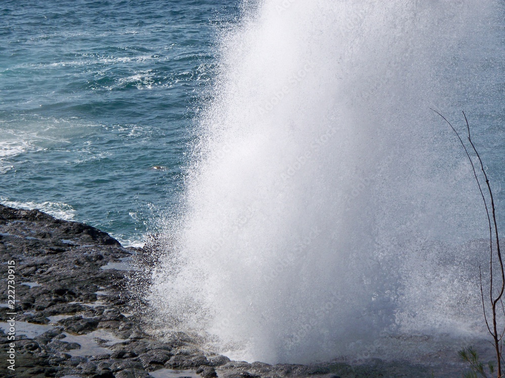 Naklejka premium sea and geyser