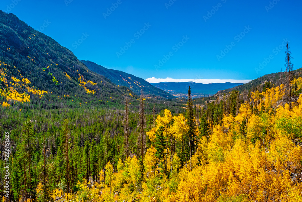 Fototapeta premium Beautiful Fall Hike in Aspens in Grand Lake, Colorado