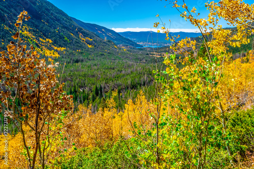 Fototapeta Naklejka Na Ścianę i Meble -  Beautiful Fall Hike in Aspens in Grand Lake, Colorado