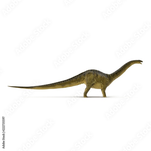 Apatosaurus Dinosaur model on white. Side view. 3D illustration © 2dmolier