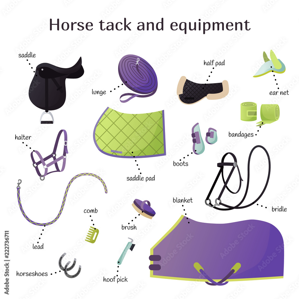 Vector Collection With Various Elements Of Horse Tack And Equipment 