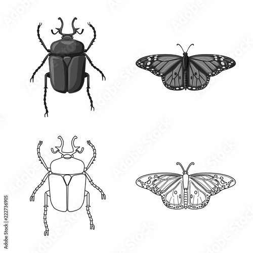Isolated object of insect and fly logo. Set of insect and element stock vector illustration.