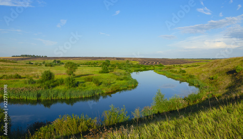 Sunny summer landscape with fields river and beautiful woods.