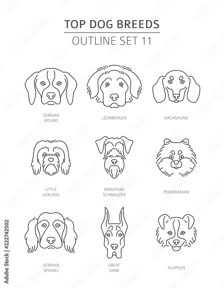 Top dog breeds. Pet outline collection. Vector illustration Top dog breeds. Pet outline collection. Vector illustration