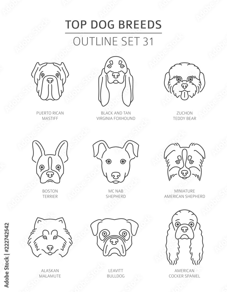 Top dog breeds. Pet outline collection. Vector illustration