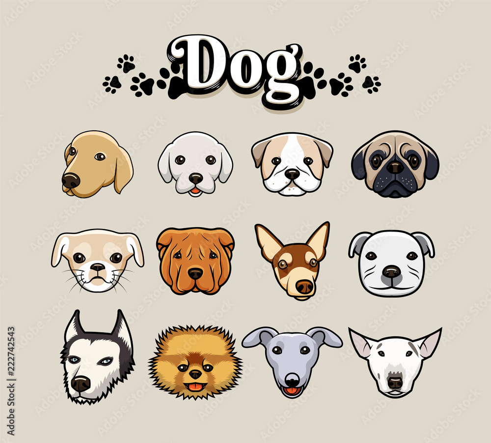 Obraz premium Dog Head For Pattern