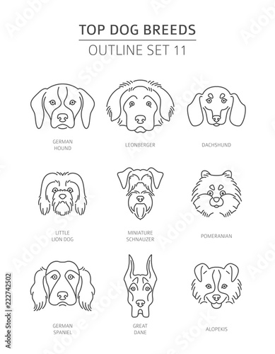 Top dog breeds. Pet outline collection. Vector illustration
