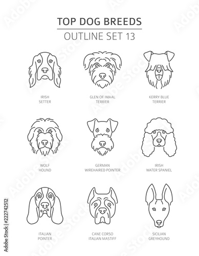 Top dog breeds. Pet outline collection. Vector illustration