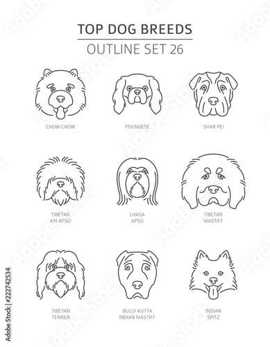 Top dog breeds. Pet outline collection. Vector illustration