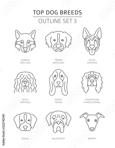 Top dog breeds. Pet outline collection. Vector illustration