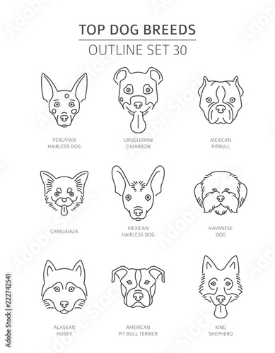 Top dog breeds. Pet outline collection. Vector illustration