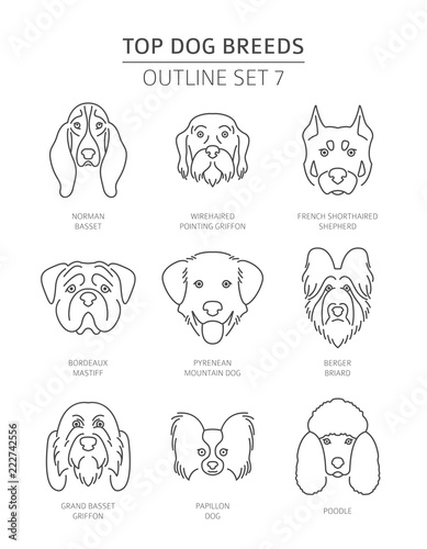 Top dog breeds. Pet outline collection. Vector illustration