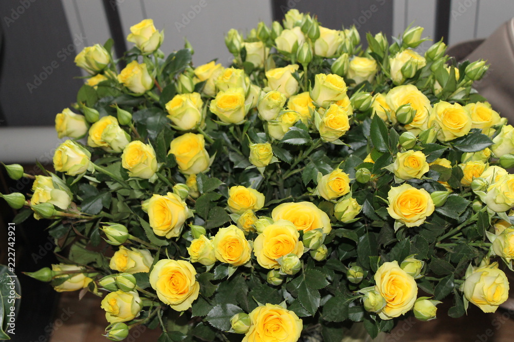 Obraz premium yellow flowers