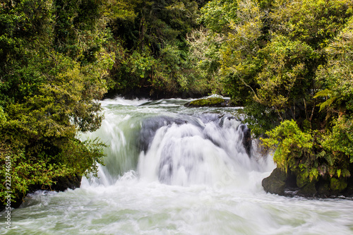 Fototapeta Naklejka Na Ścianę i Meble -  Waterfall on the Kaituna River - Rotorua 