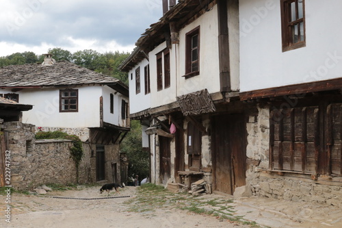 Old houses in the historical cultural reserve village of Dolen, Bulgaria. Dolen is famous with its 350 old houses – an example of 19th century Rhodopean architecture. © georgidimitrov70