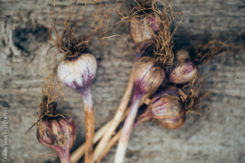 Close - up of garlic disfocus on wooden background photo