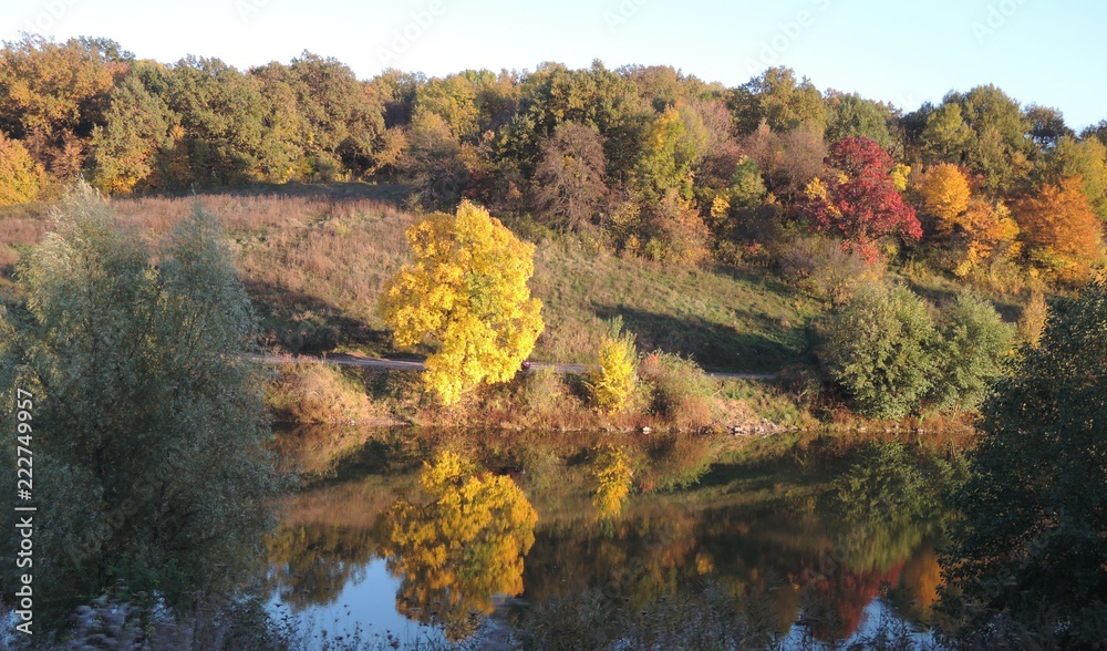 autumn, trees and a lake