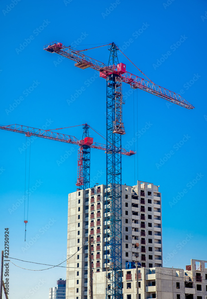     Two red crane against the blue sky 