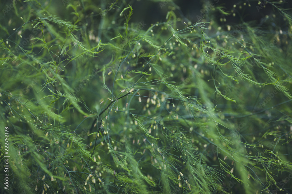 Naklejka premium green background