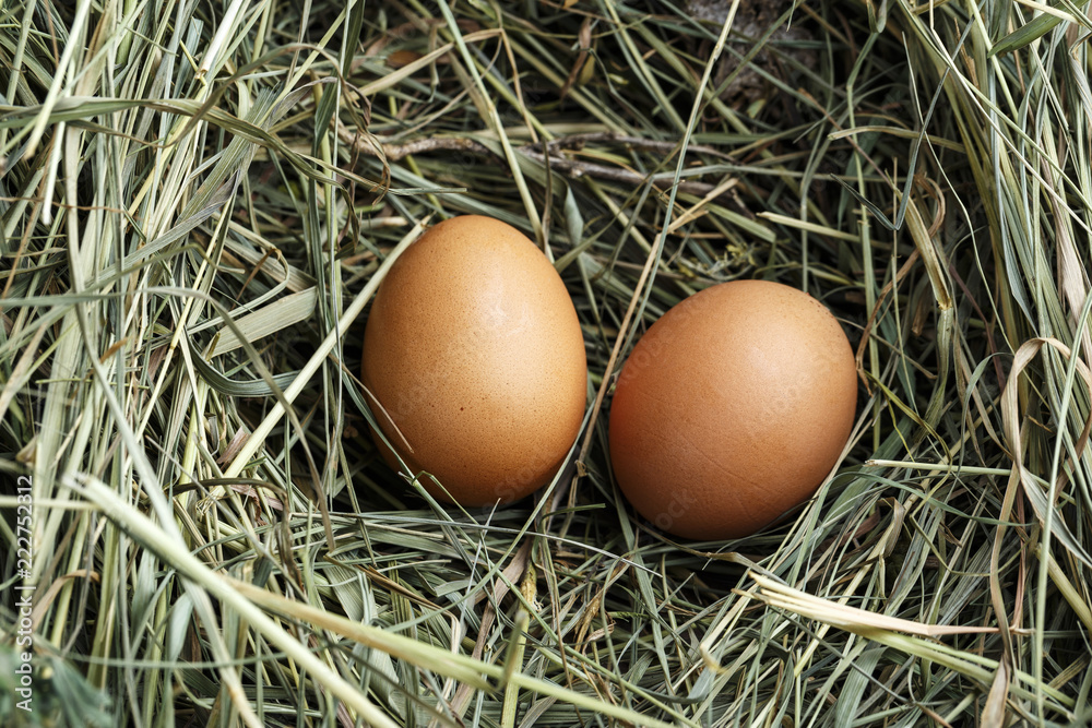 two eggs in a straw two eggs in a straw