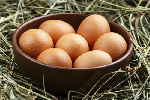 raw eggs in a plate