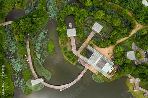 Canvas Print Top down of wetland park