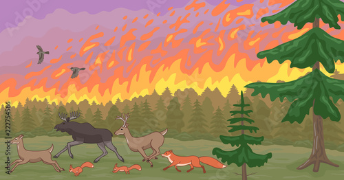 Forest fire and fleeing animals. Natural disaster.