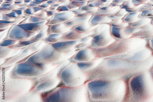 Pink snow of the IGAN glacier. Polar Urals, Russia