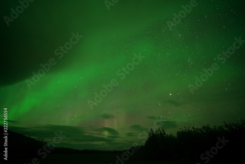 Aurora borealis  northern lights  in September  2018  Whitehorse  Canada